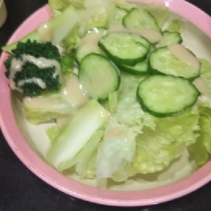 野菜サラダ♪ْ˖⋆香味ドレッシング